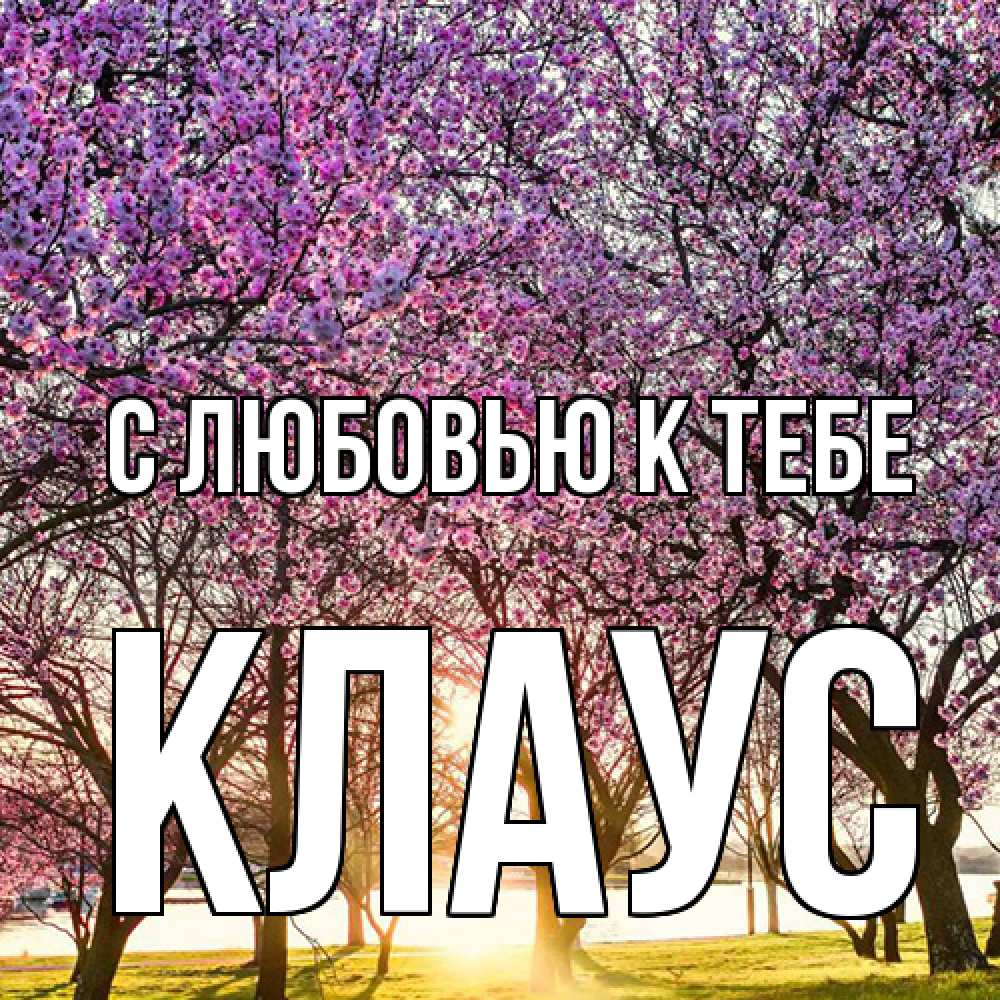 Открытка  с именем. Клаус, С любовью к тебе  