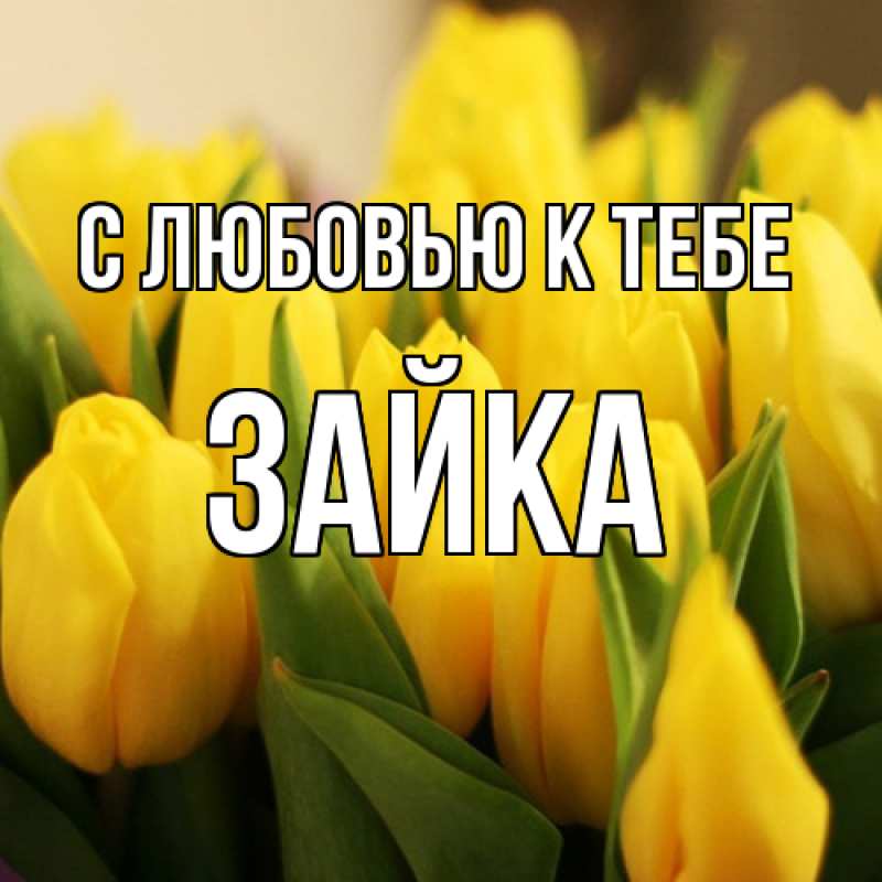 Картинка С любовью к тебе, Зайка