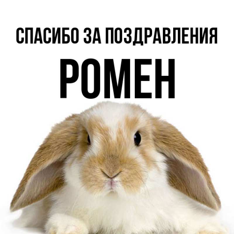 Картинка Спасибо за поздравления, Ромен