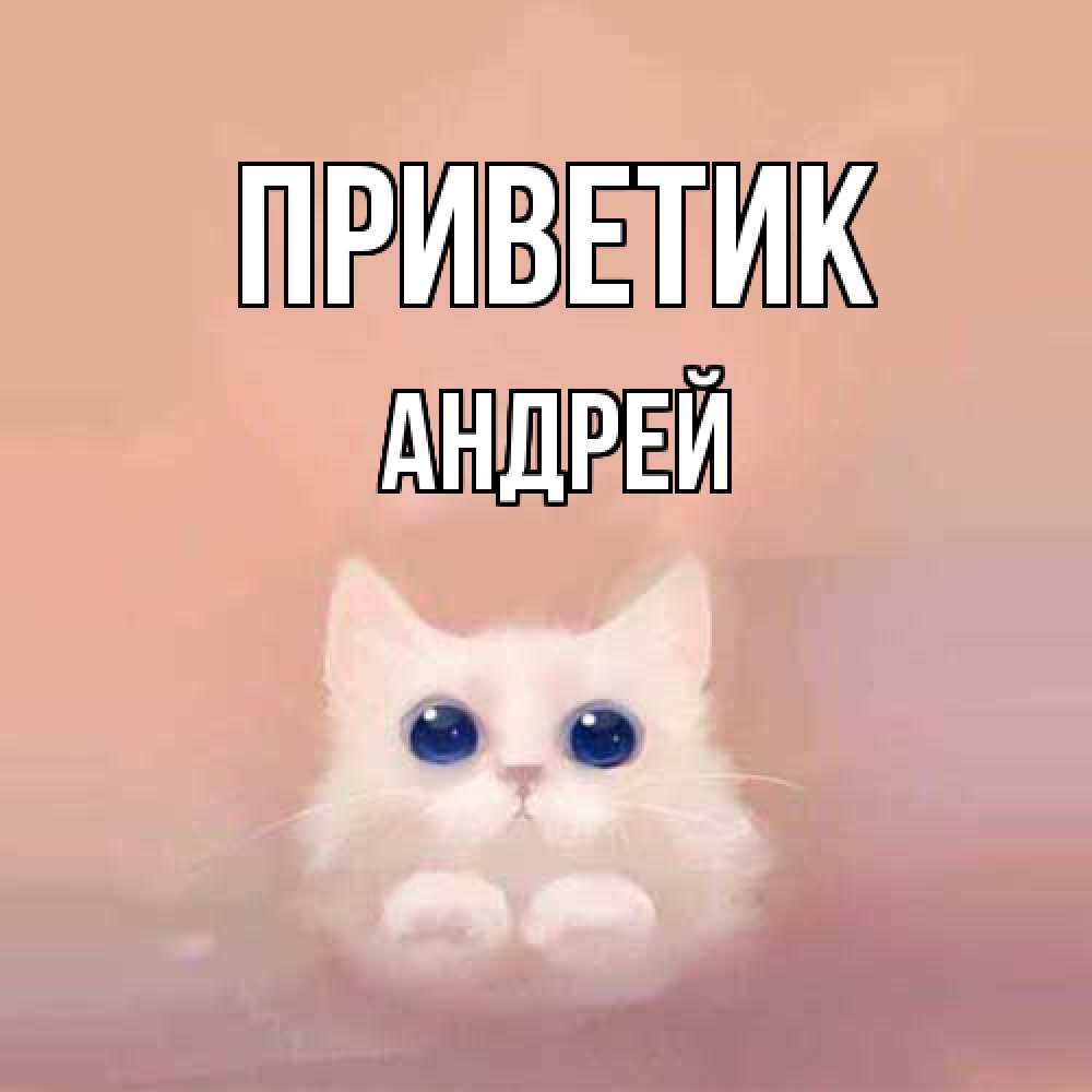 Открытка  с именем. Андрей, приветик  