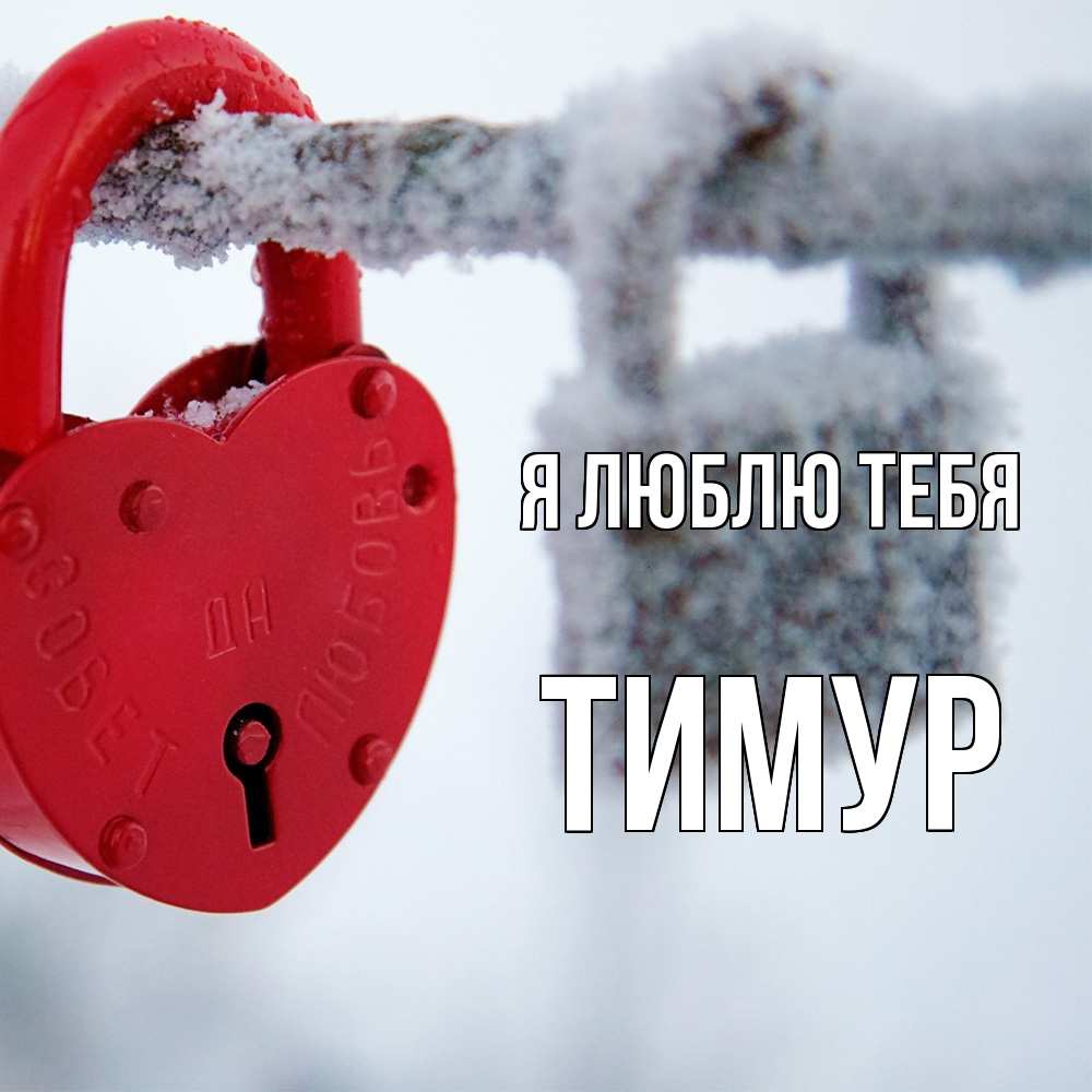Открытка  с именем. Тимур, Я люблю тебя  