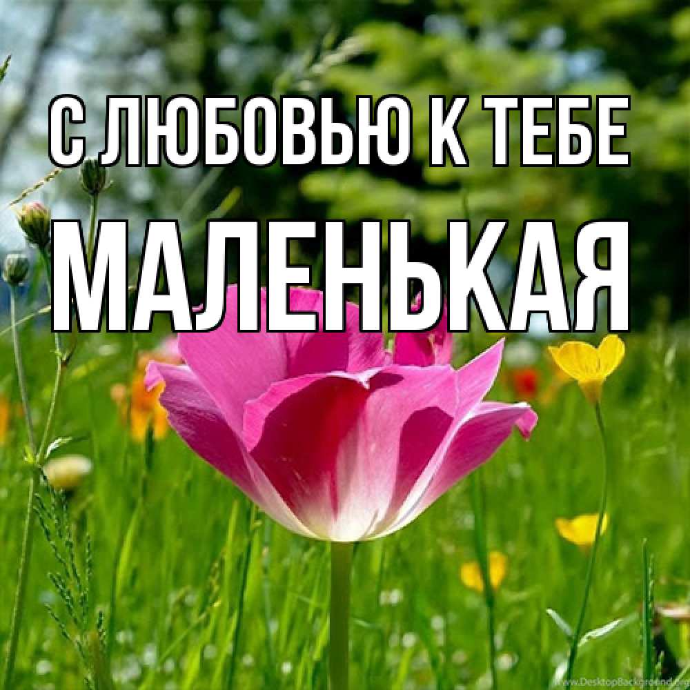 Открытка  с именем. Маленькая, С любовью к тебе  