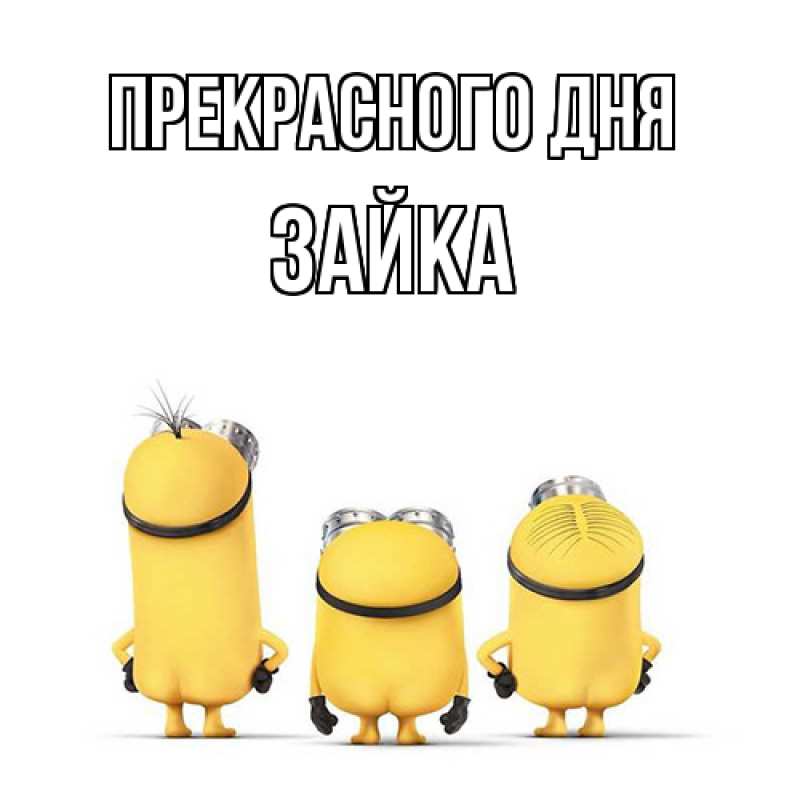 Картинка Прекрасного дня, Зайка