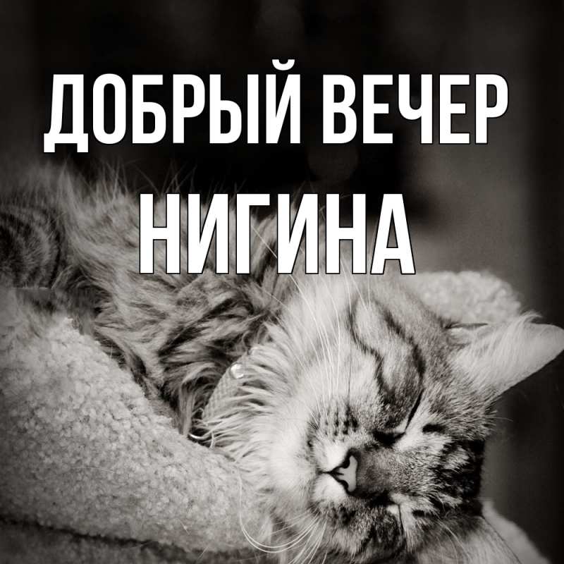 Картинка Добрый вечер, Нигина