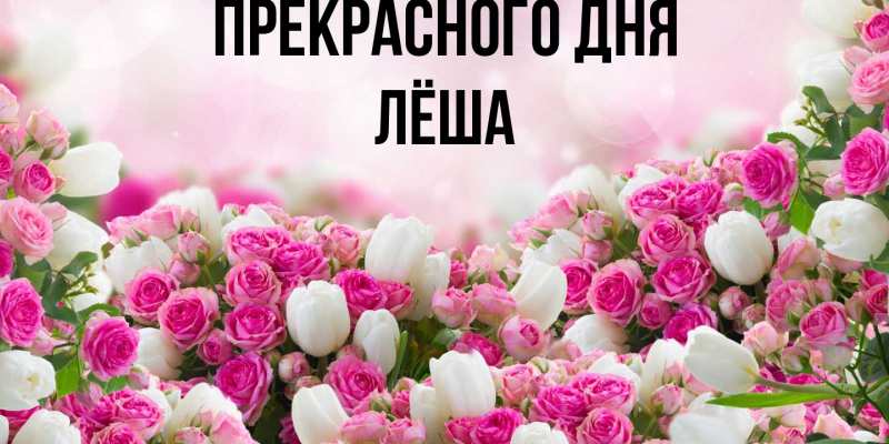 Картинка Прекрасного дня, Лёша