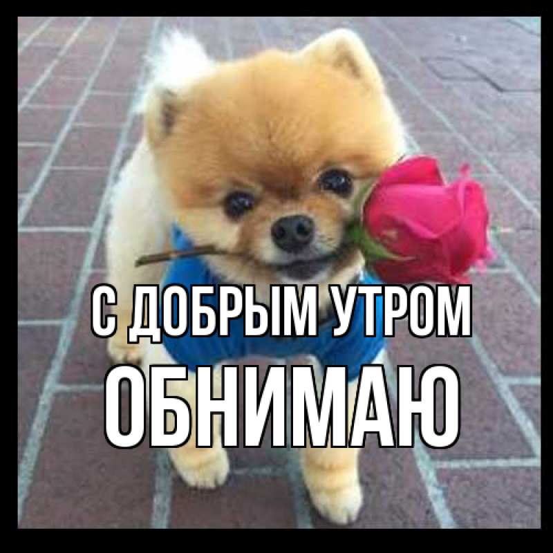 Картинка С добрым утром, Обнимаю