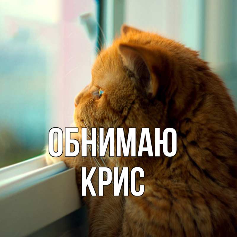 Картинка Обнимаю, Крис