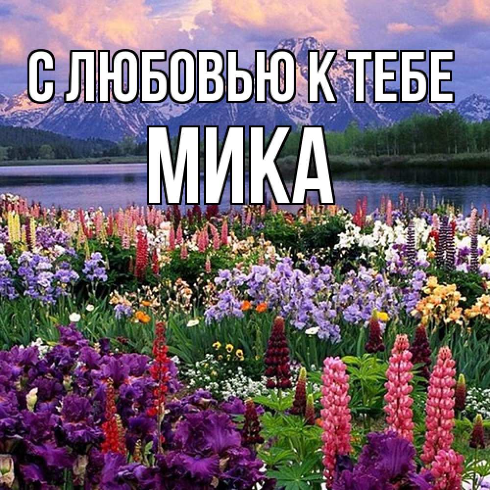 Открытка  с именем. мика, С любовью к тебе  