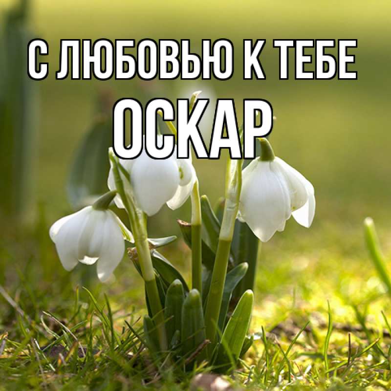 Открытка с именем, Оскар, С любовью к тебе