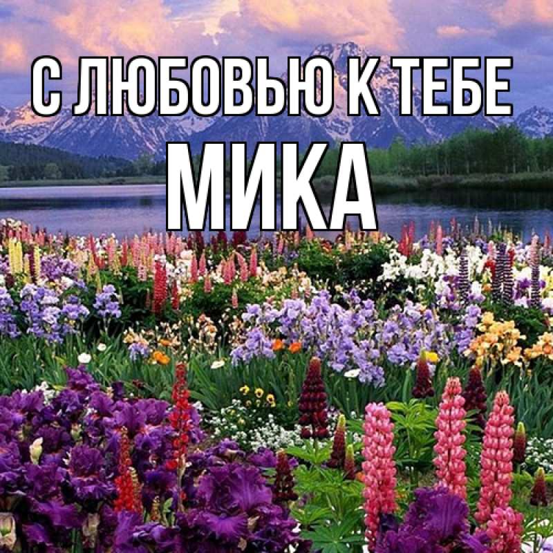 Картинка С любовью к тебе, мика
