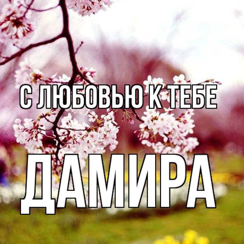 Открытка с именем, Дамира, С любовью к тебе