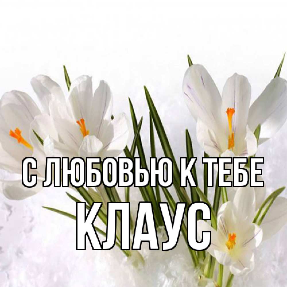 Открытка  с именем. Клаус, С любовью к тебе  