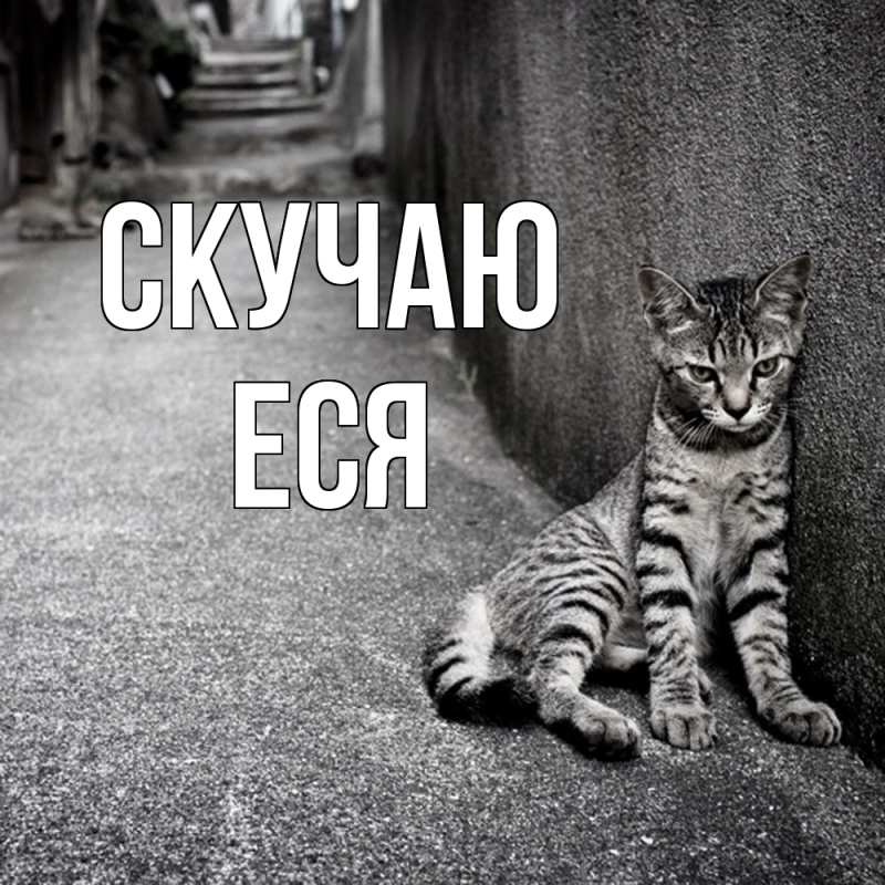 Картинка Скучаю, Еся