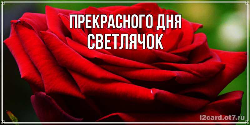 Открытка с именем, Светлячок, Прекрасного дня