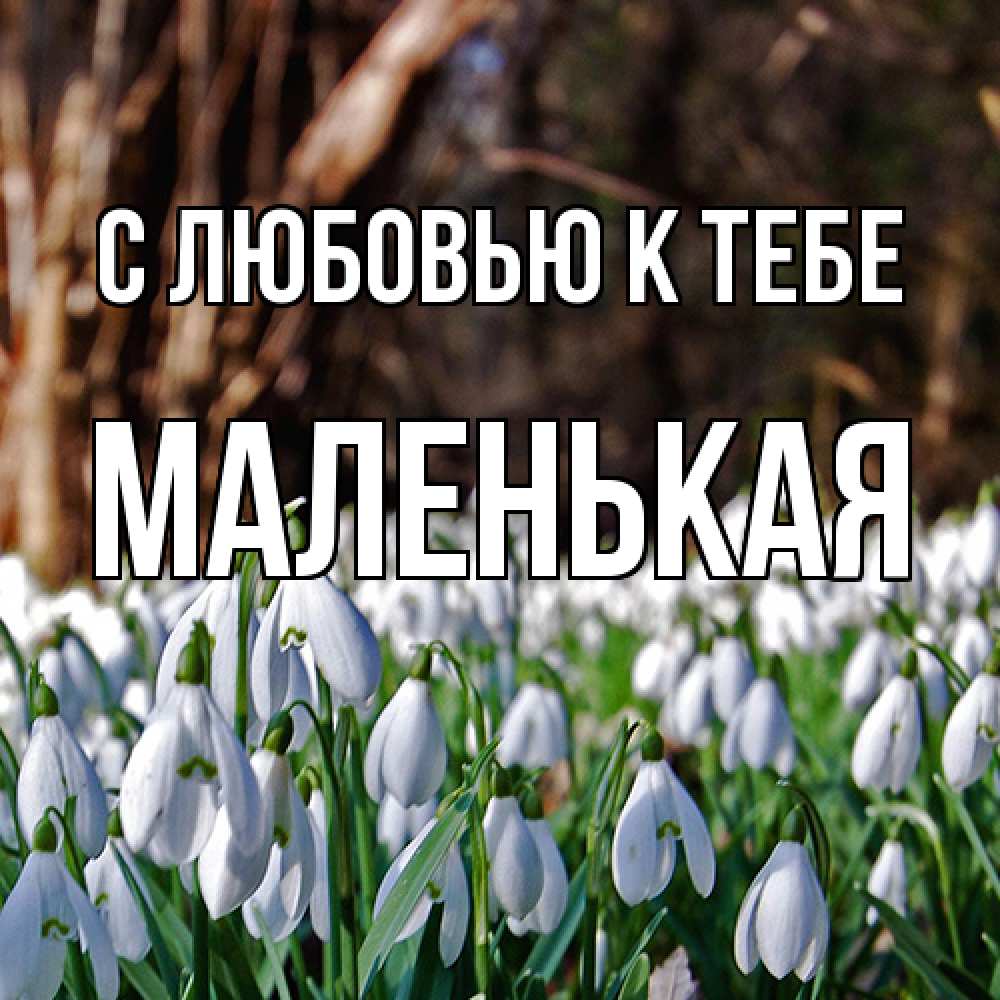 Открытка  с именем. Маленькая, С любовью к тебе  