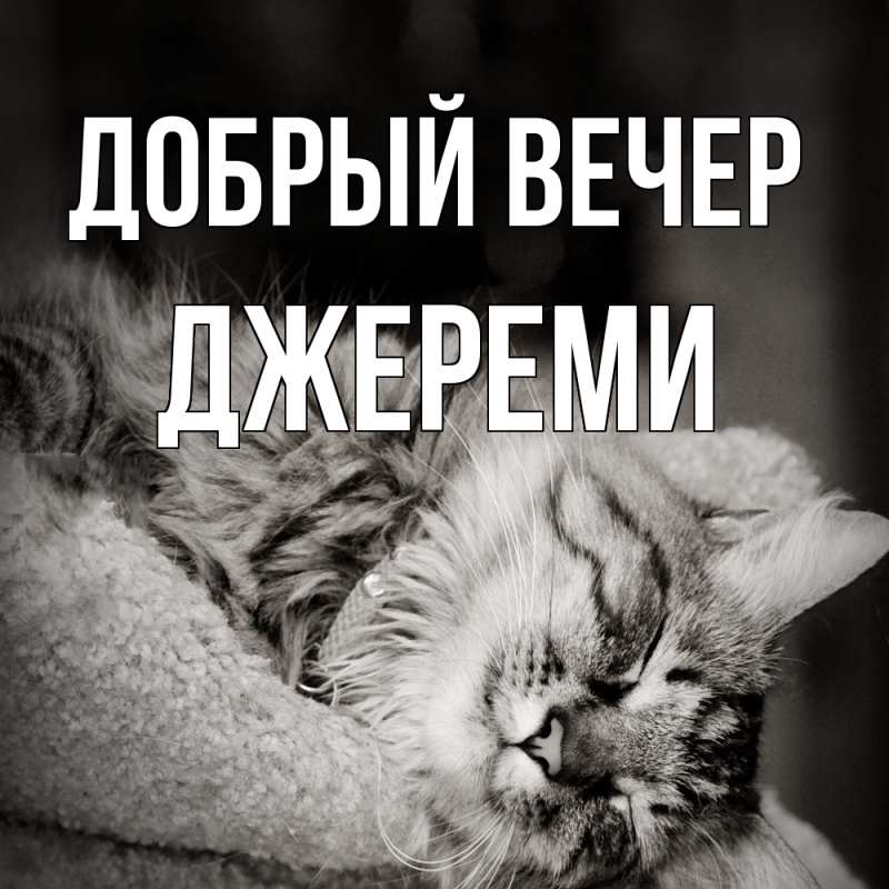 Картинка Добрый вечер, Джереми
