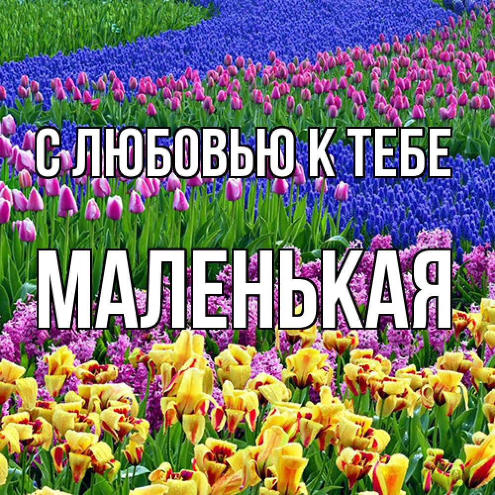 Открытка  с именем. Маленькая, С любовью к тебе  