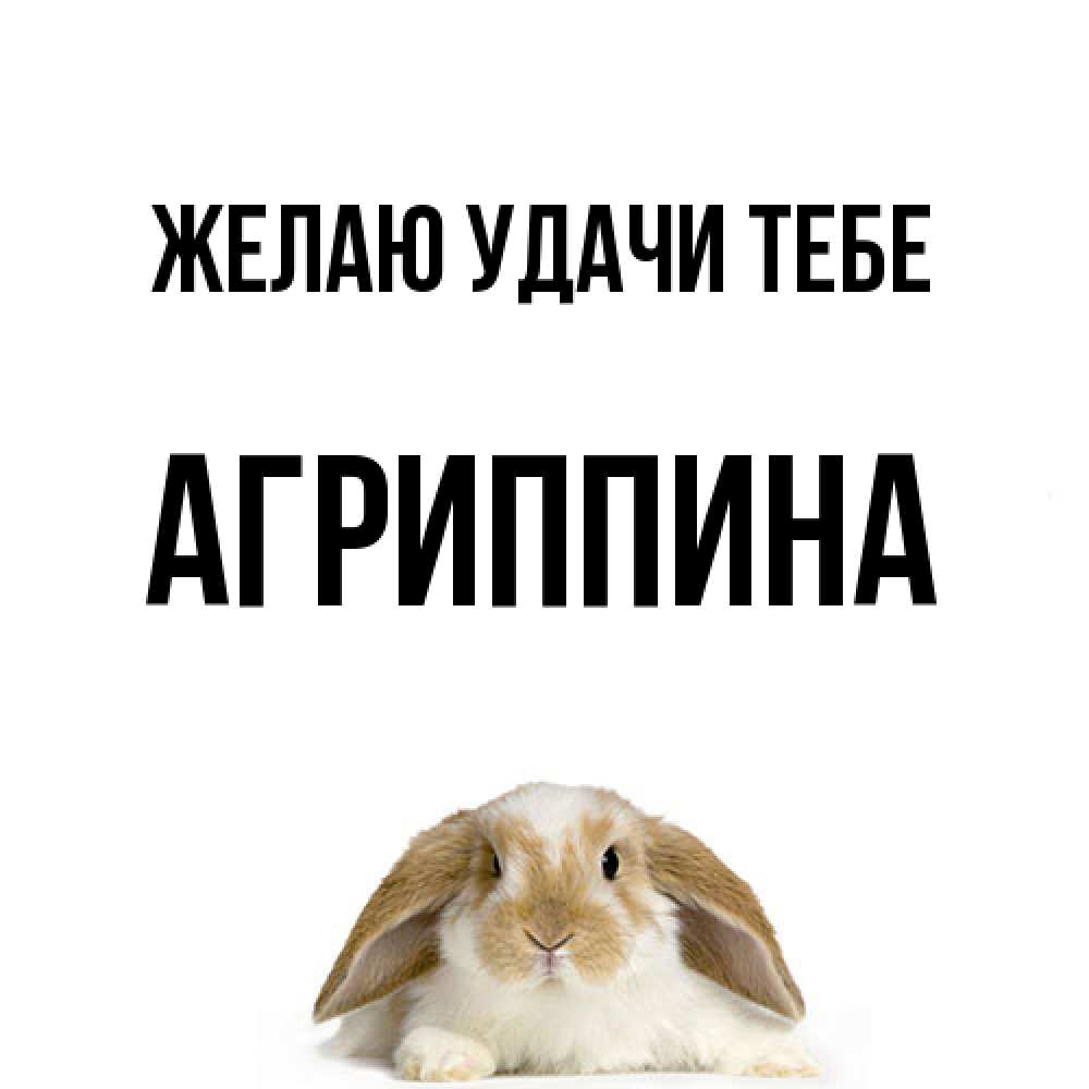 Открытка  с именем. Агриппина, Желаю удачи тебе  