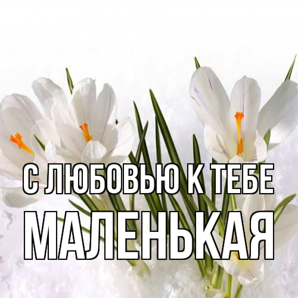 Открытка  с именем. Маленькая, С любовью к тебе  