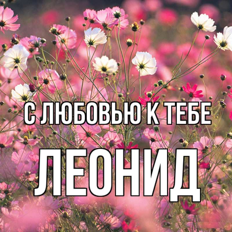 Картинка С любовью к тебе, Леонид