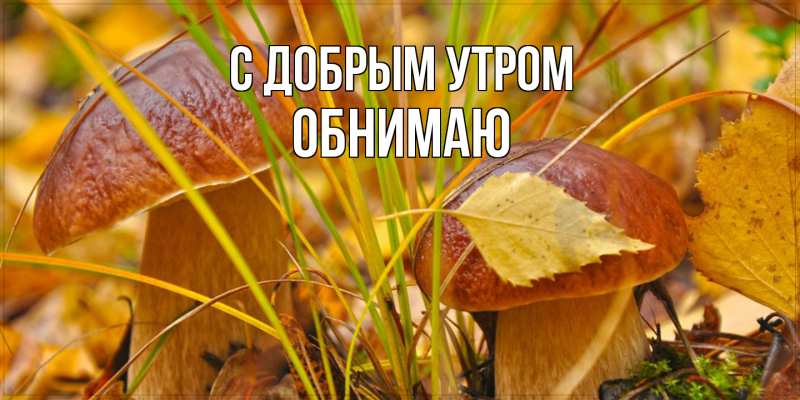 Картинка С добрым утром, Обнимаю