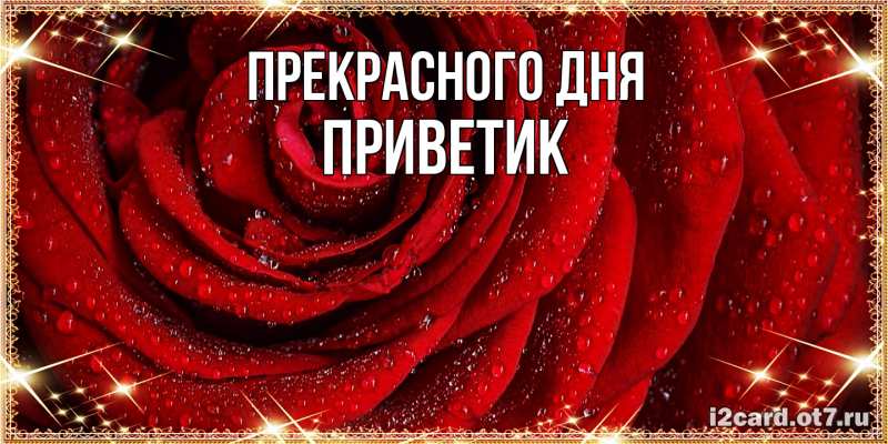 Картинка Прекрасного дня, приветик