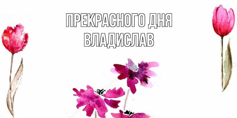 Картинка Прекрасного дня, Владислав