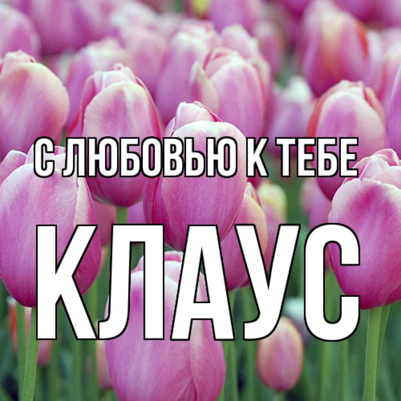 Картинка С любовью к тебе, Клаус