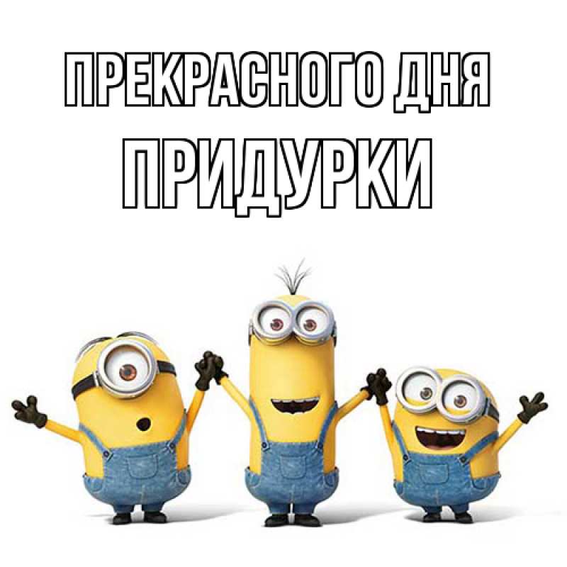 Картинка Прекрасного дня, Придурки