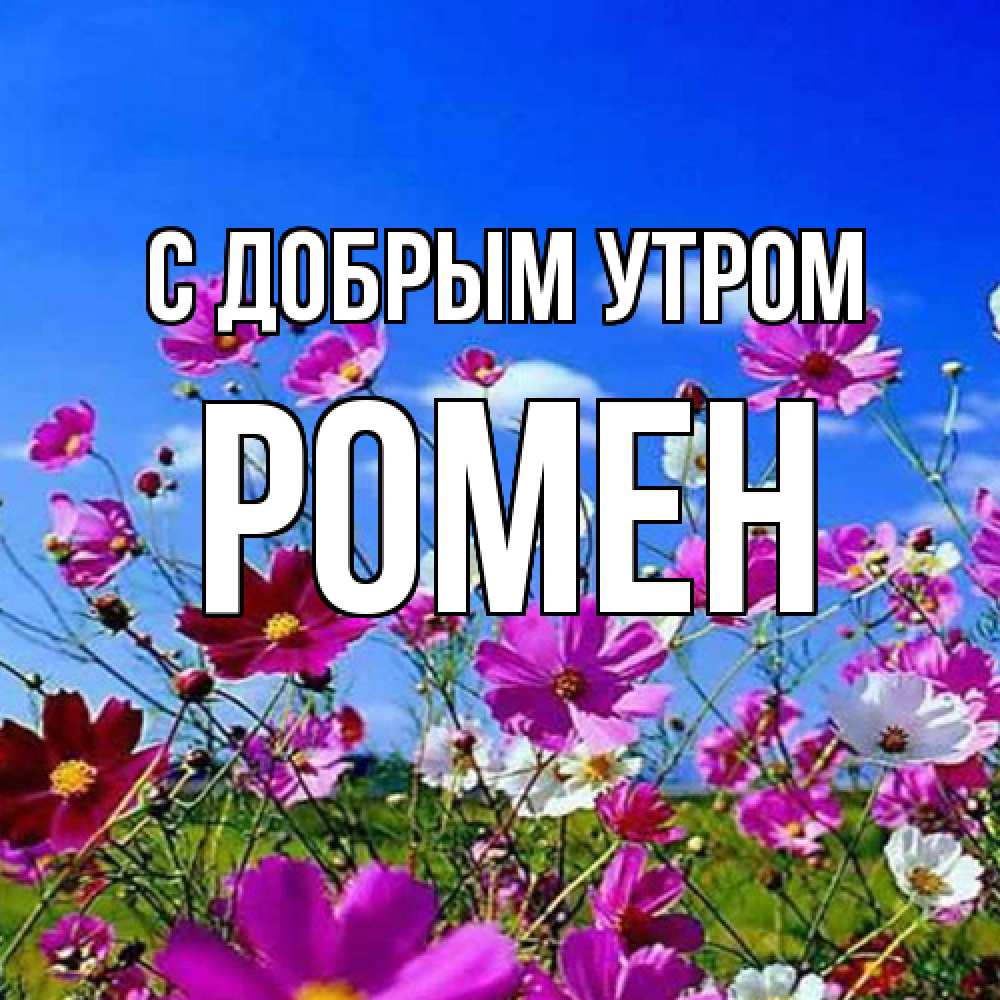 Открытка  с именем. Ромен, С добрым утром  