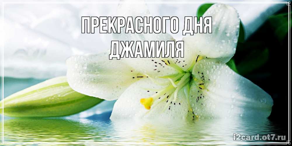 Открытка  с именем. Джамиля, Прекрасного дня  