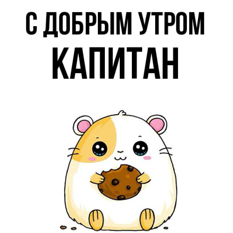 Картинка С добрым утром, Капитан
