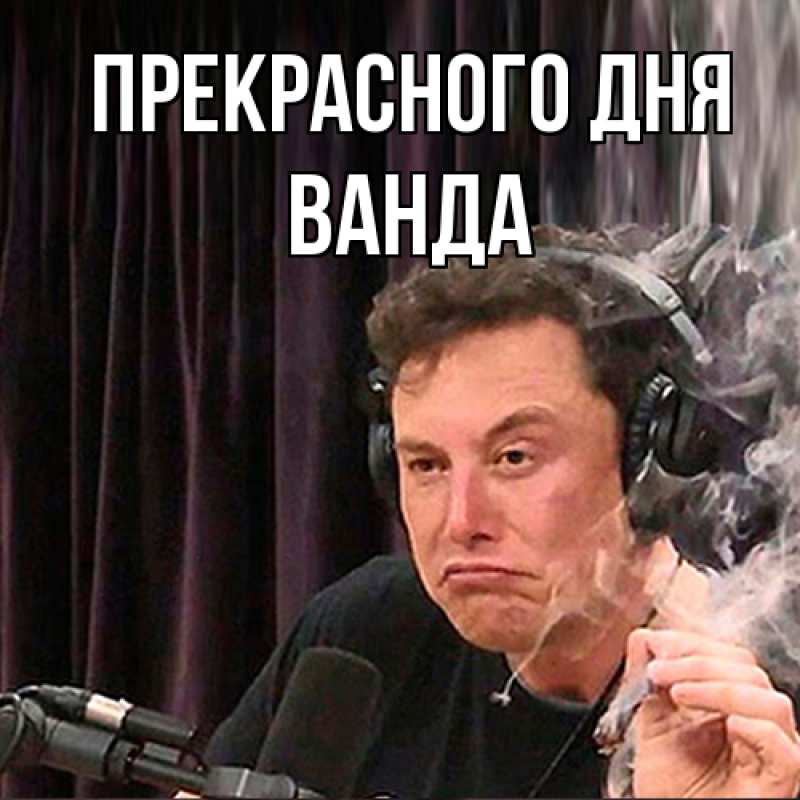 Картинка Прекрасного дня, Ванда