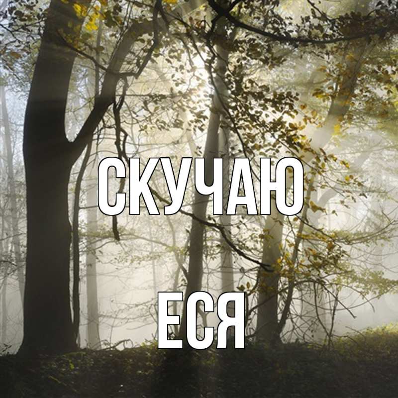 Картинка Скучаю, Еся