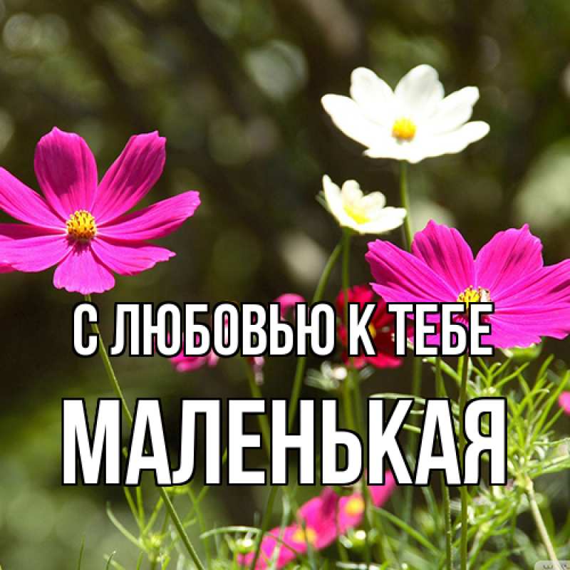 Картинка С любовью к тебе, Маленькая