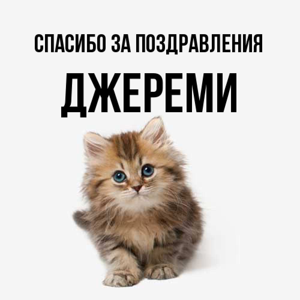 Открытка  с именем. Джереми, Спасибо за поздравления  