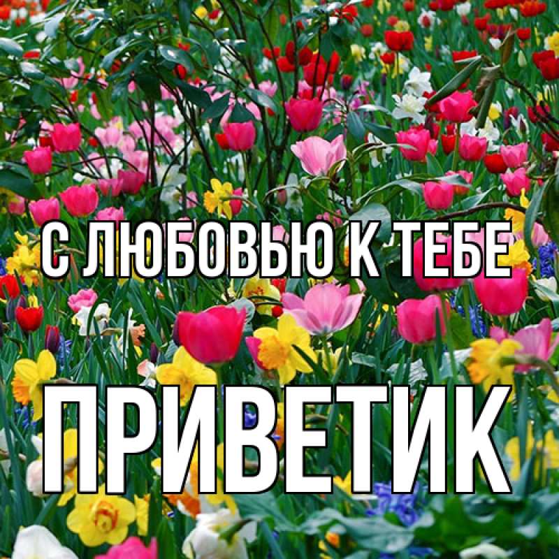 Картинка С любовью к тебе, приветик