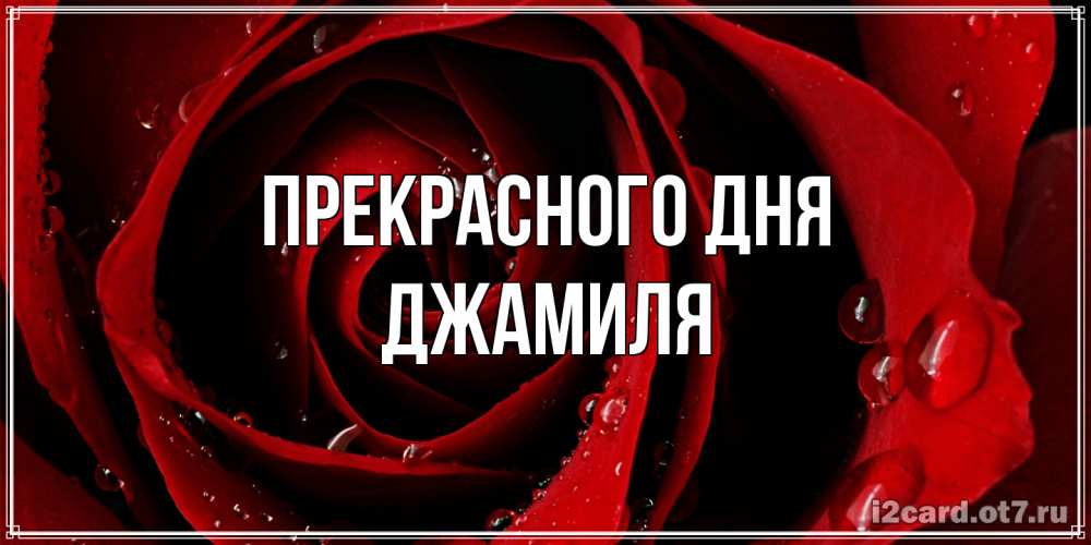 Открытка  с именем. Джамиля, Прекрасного дня  