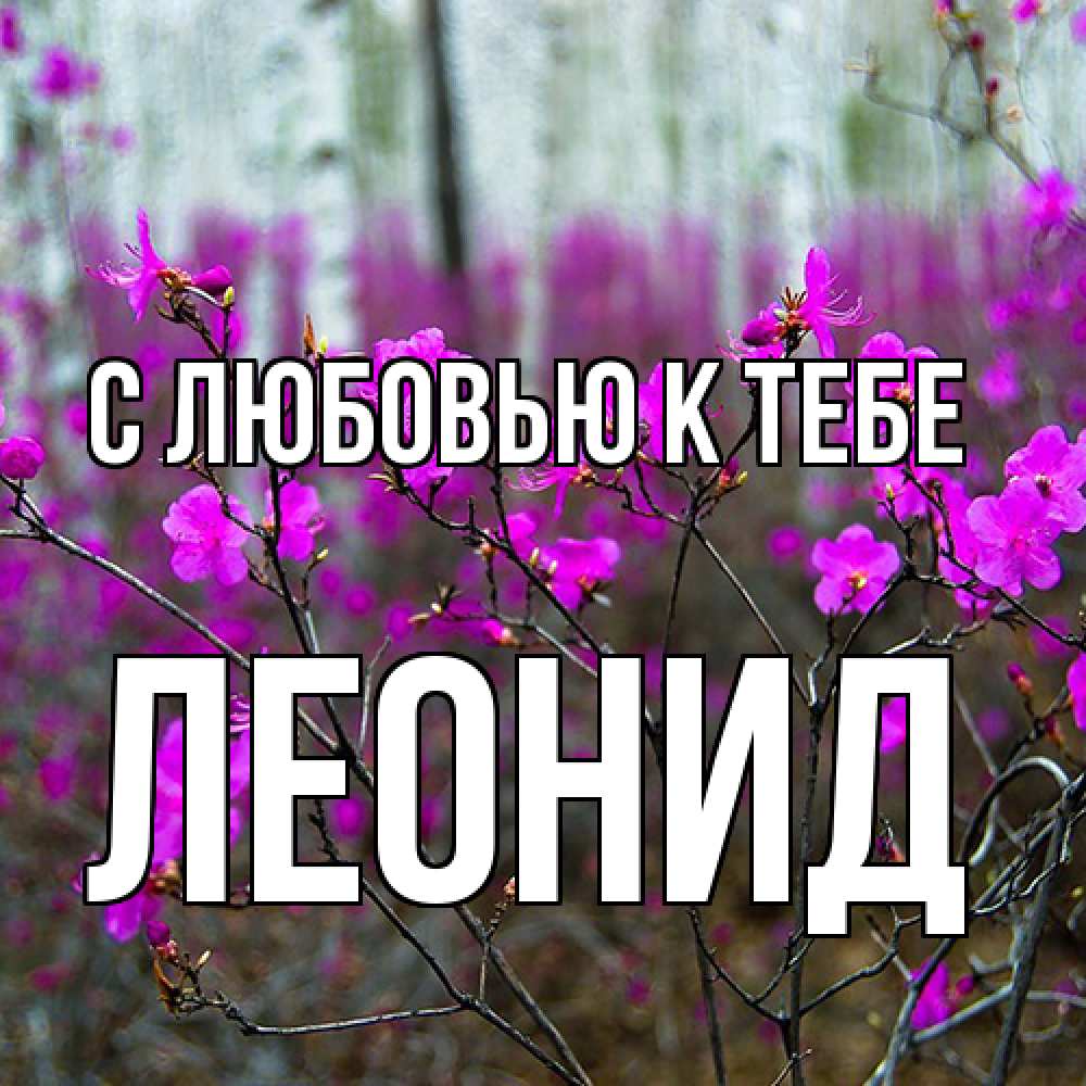 Открытка  с именем. Леонид, С любовью к тебе  