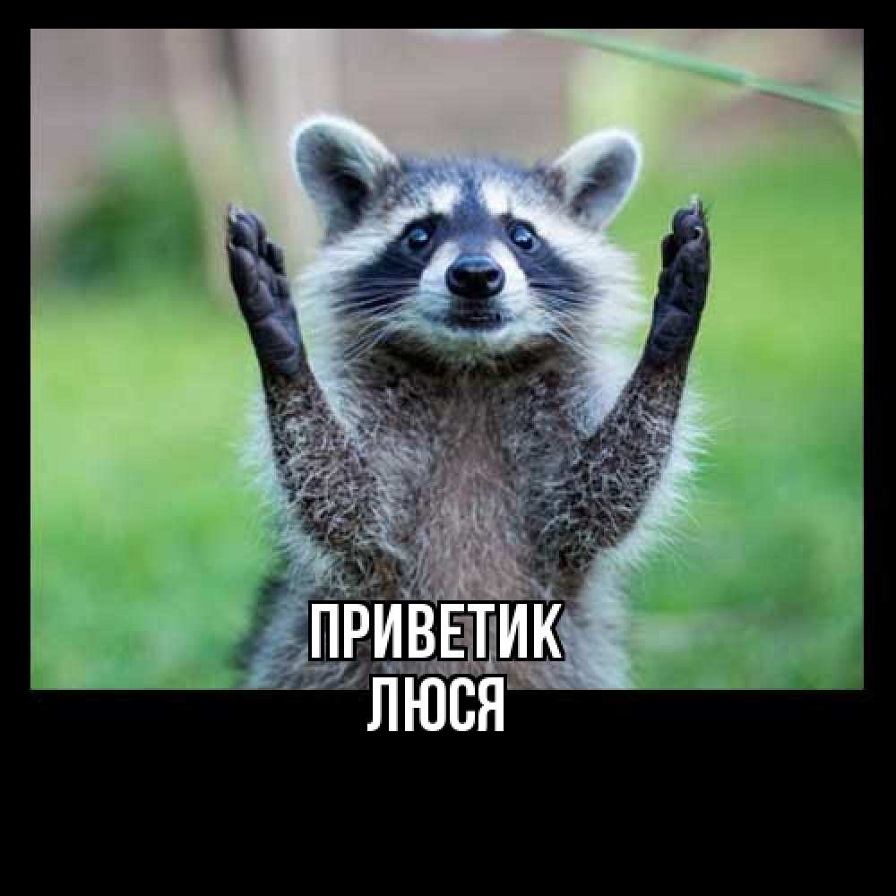 Открытка  с именем. Люся, приветик  