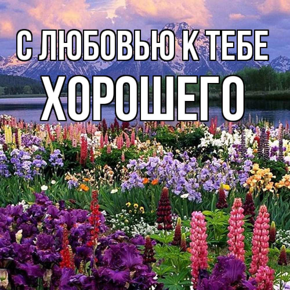Открытка  с именем. Хорошего, С любовью к тебе  