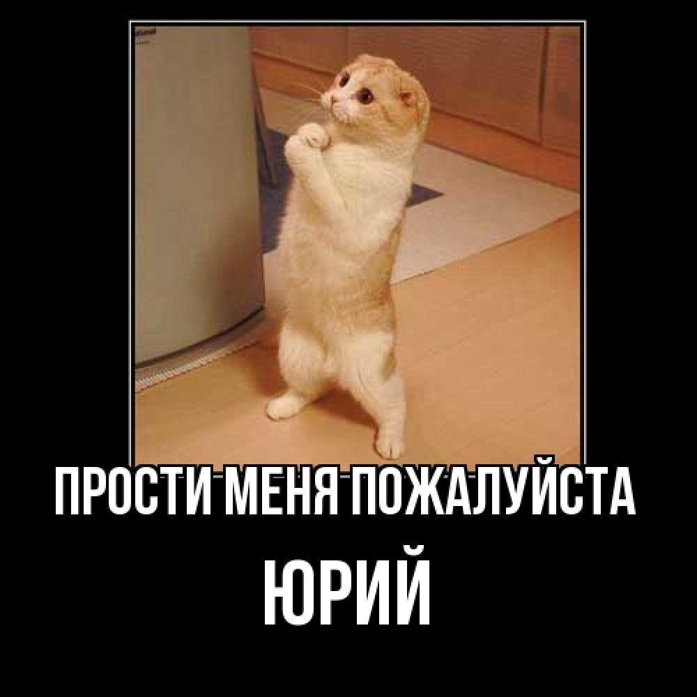 Открытка  с именем. Юрий, Прости меня пожалуйста  