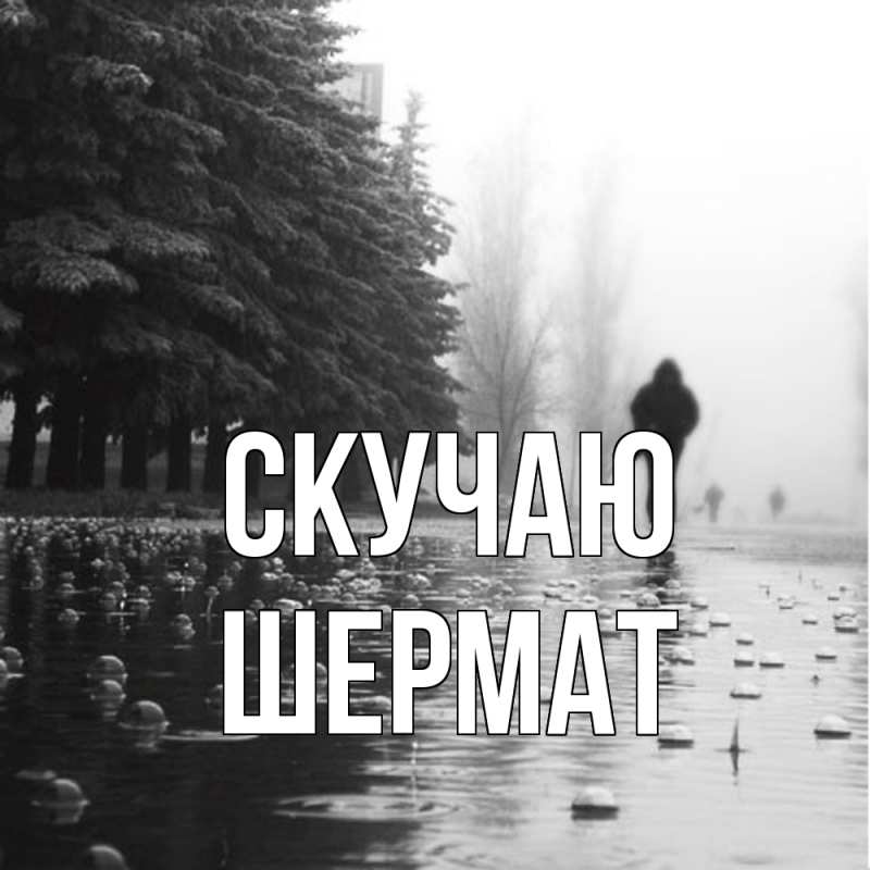 Картинка Скучаю, Шермат