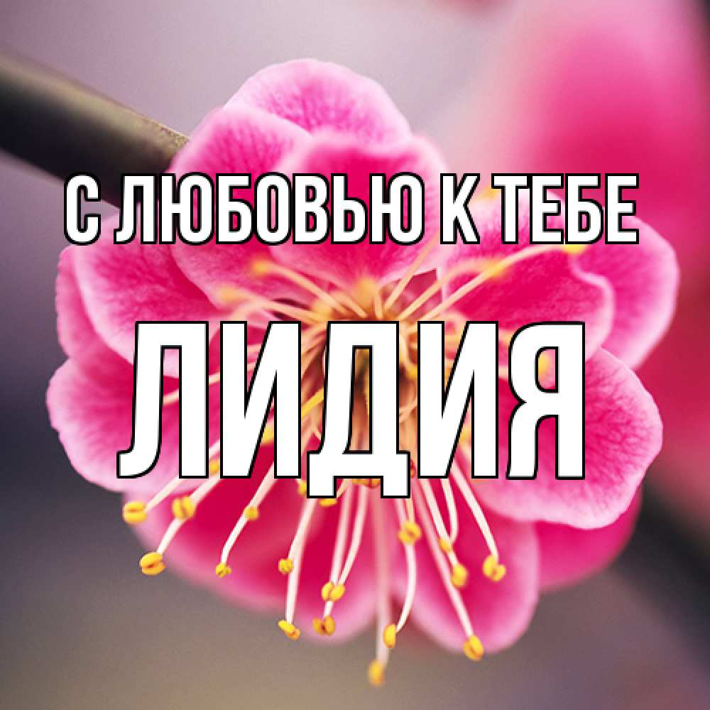 Открытка  с именем. лидия, С любовью к тебе  