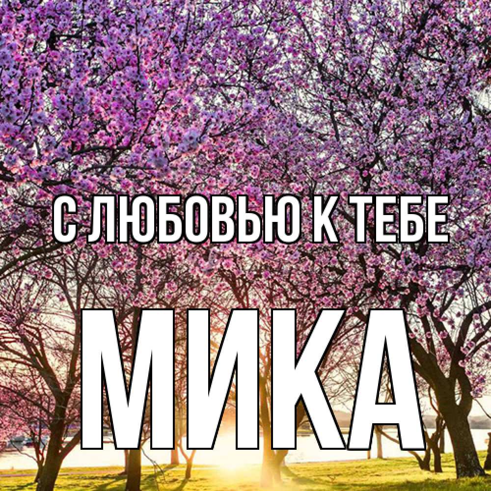 Открытка  с именем. мика, С любовью к тебе  