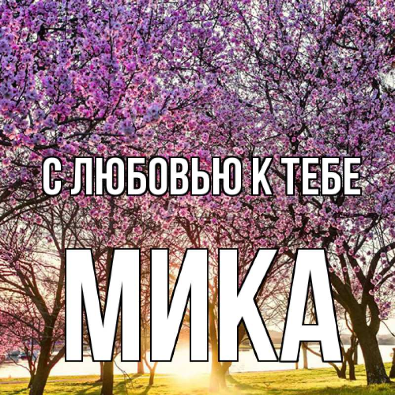 Картинка С любовью к тебе, мика