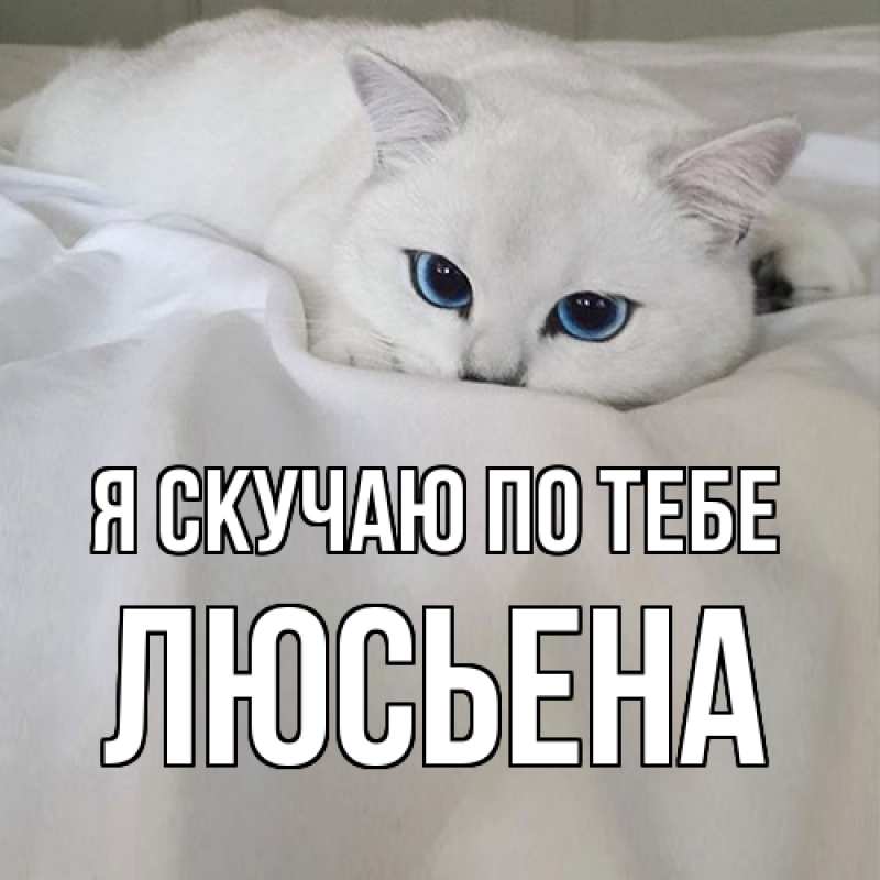 Картинка Я скучаю по тебе, Люсьена