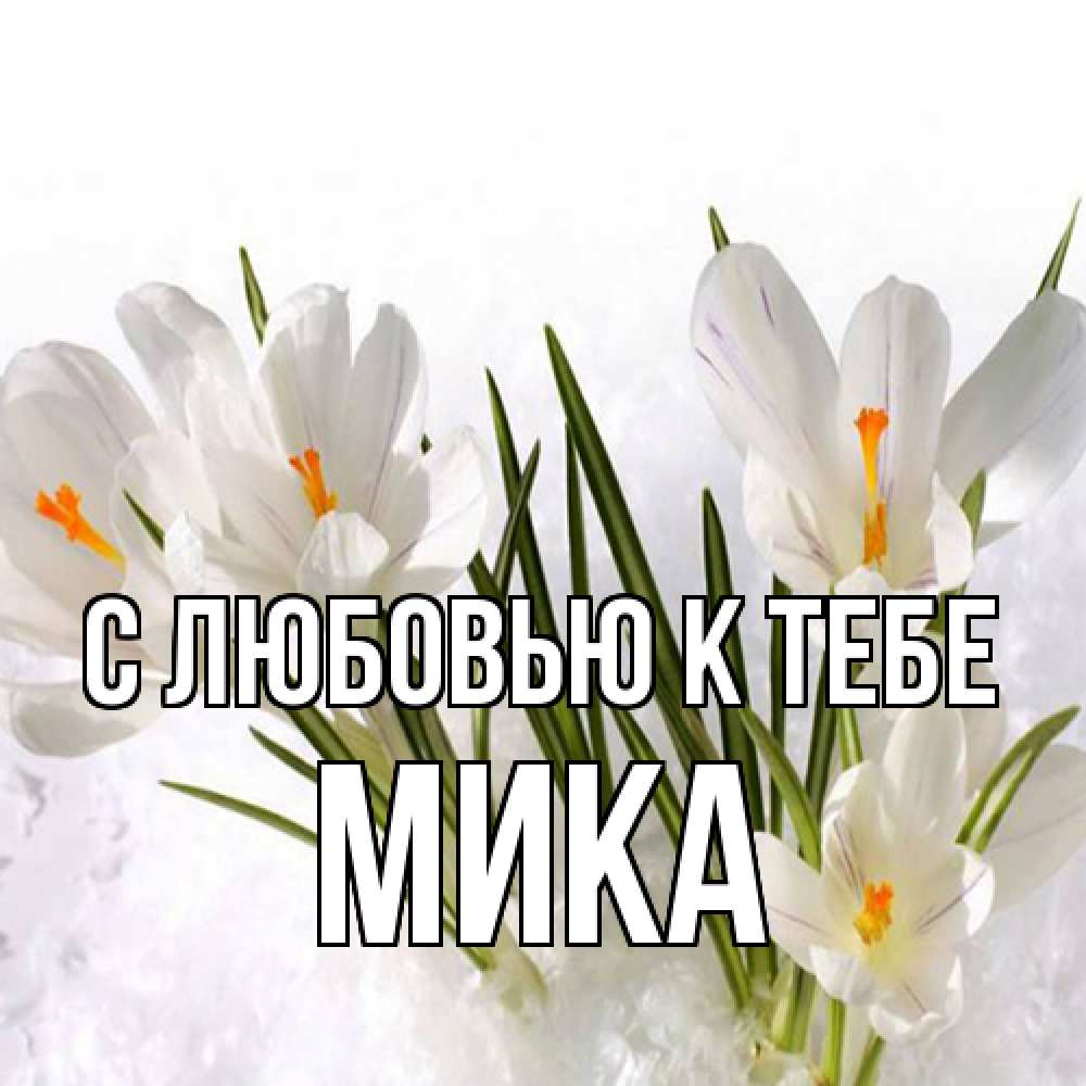 Открытка  с именем. мика, С любовью к тебе  