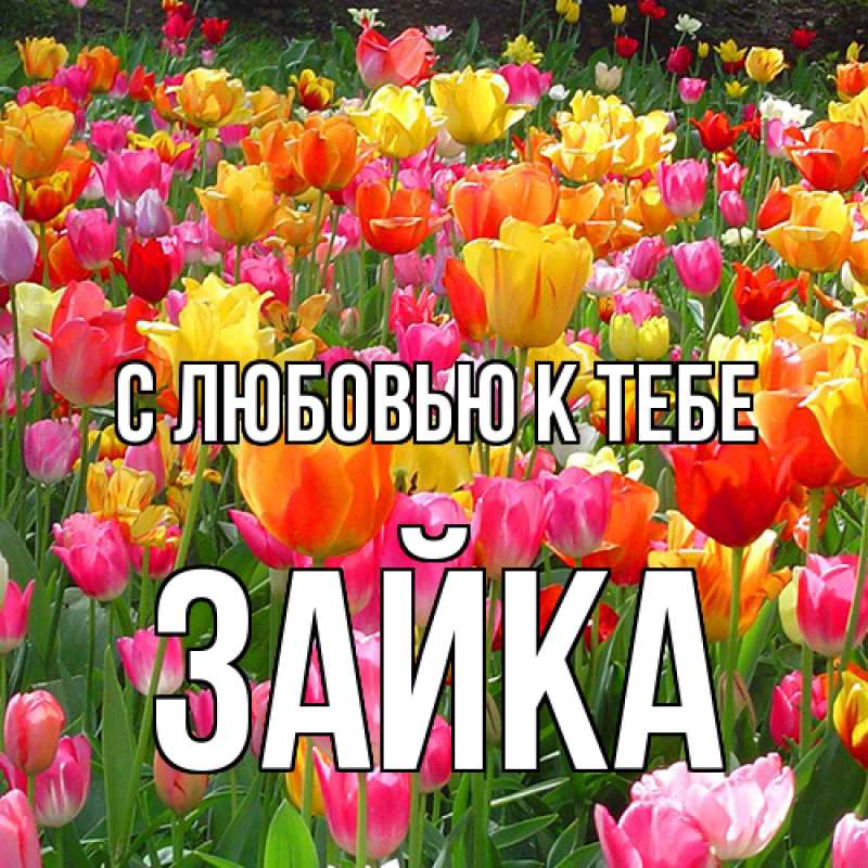 Картинка С любовью к тебе, Зайка