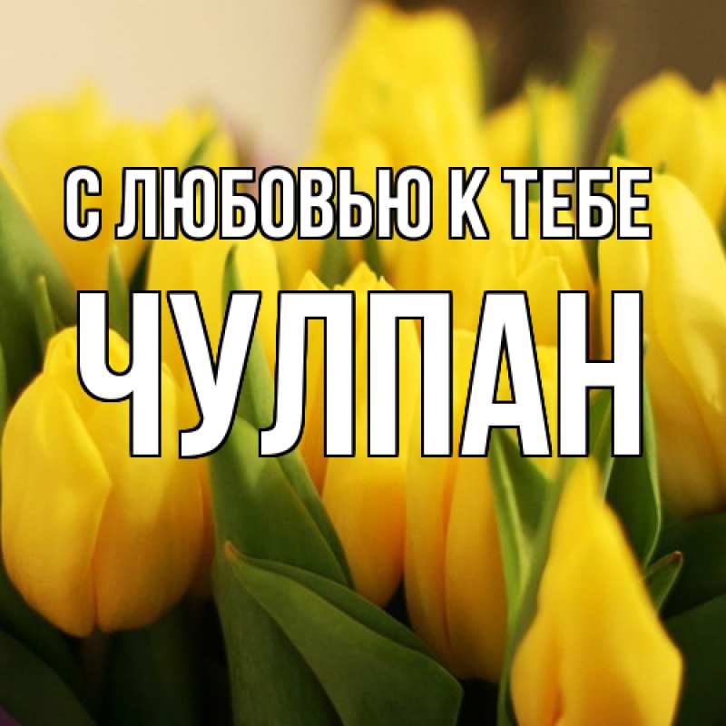 Картинка С любовью к тебе, Чулпан